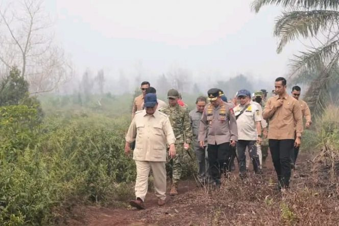 
 Kebakaran Hutan Dan Lahan Di Kalimantan Makin Meluas, Presiden Prabowo Turun Tangan