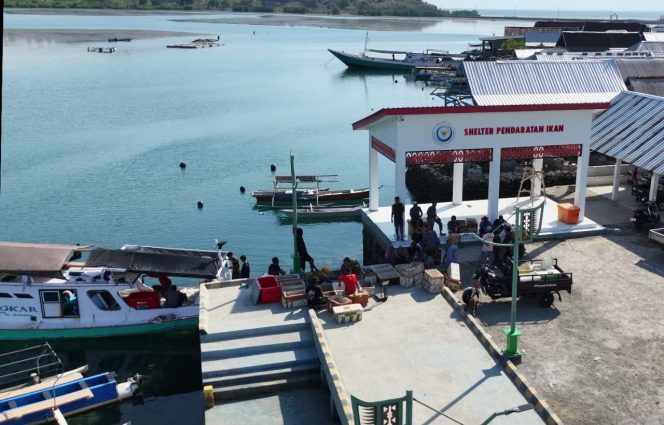 
 Uji Coba 65 Kampung Nelayan Merah Putih Kirim 273,6 Ton Ikan Senilai Rp11,1 Miliar