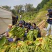 Ativitas relawan di Program RBB 2026