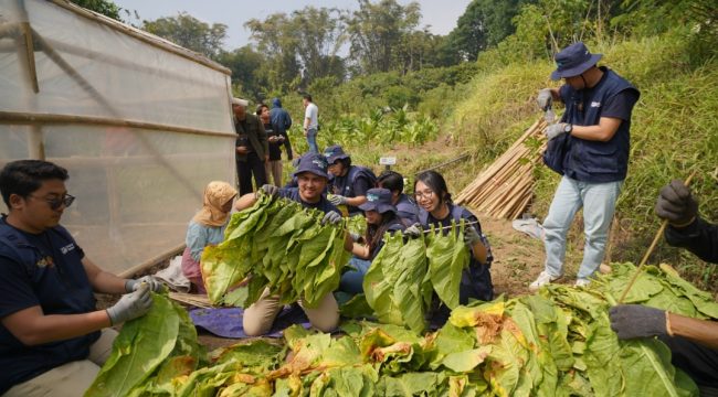 Ativitas relawan di Program RBB 2026