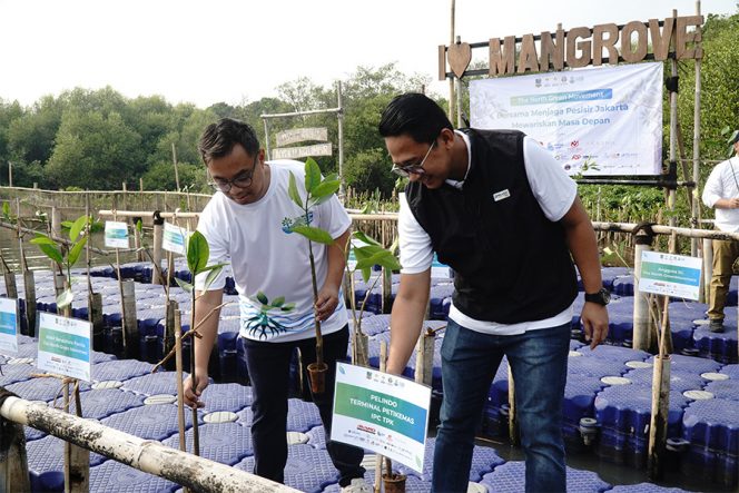 
 IPC TPK Dorong Pemulihan Ekosistem Mangrove melalui Program “The North Green Movement”