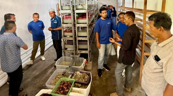 
 Dorong Kemandirian Ekonomi Masyarakat Pesisir, TTL Raih Penghargaan Gold Program TJSL & CSR Award 2026