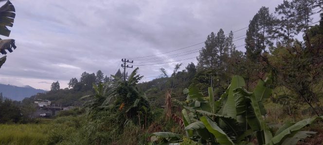 
 Cuaca Aceh Tengah Perlu Diwaspadai, Masyarakat Diminta Antisipasi Hujan Lebat