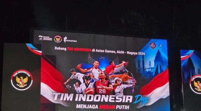 Timnas (ist)