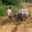 Akses jalan di wilayah 3TP