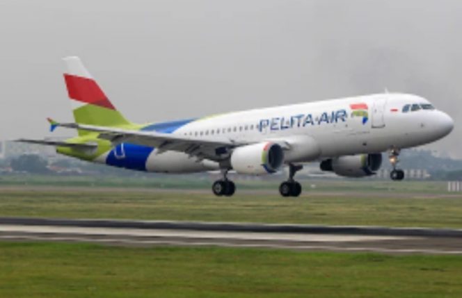 
 Armadan Pelita Air