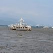 Laut surut di Banten pekan lalu