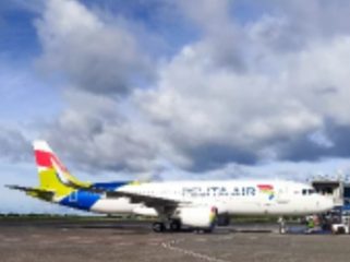 Armada Pelita Air