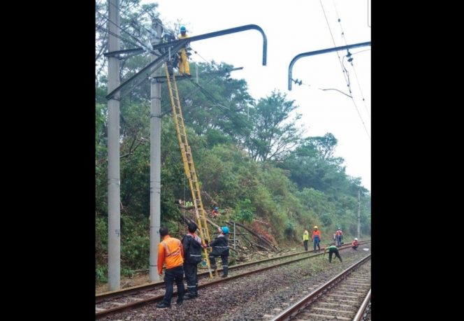 
 Ranting Pohon Tumbang Timpa Kabel LAA, Perjalanan KRL Bogor Terganggu