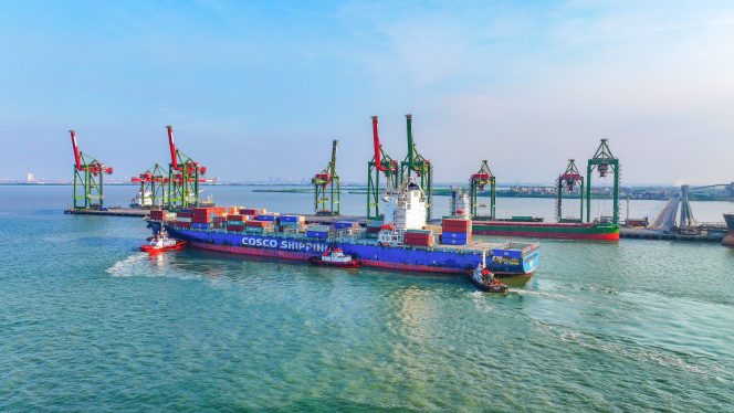
 Lima Tahun Bersatu, Terminal Teluk Lamong Terus Tumbuh dan Bertransformasi Bersama Pelindo