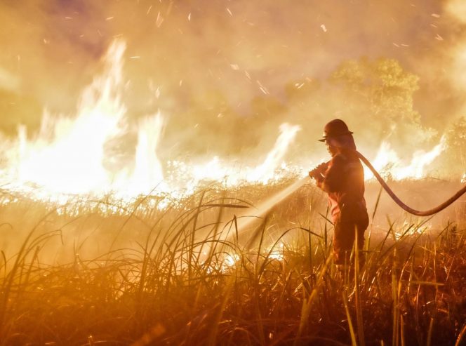 
 Anggota DPRD Jawa Barat Prihatin atas Karhutla di Sejumlah Wilayah Indonesia