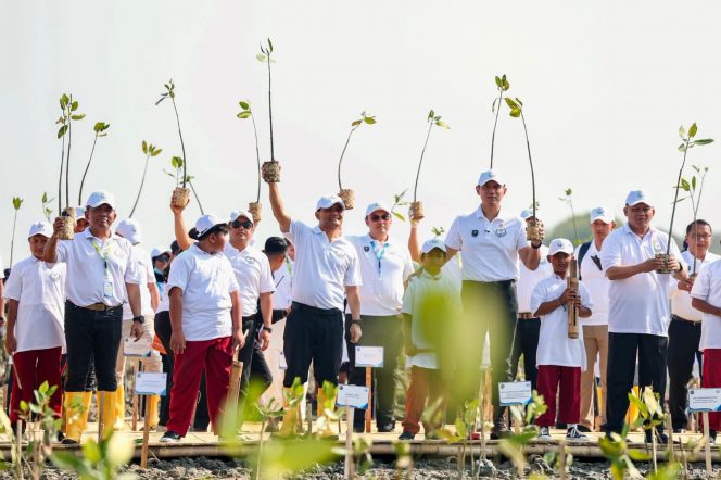 
 Cegah Abrasi Pantura Jawa, AHY Tanam Mangrove Berteknologi HexBricks