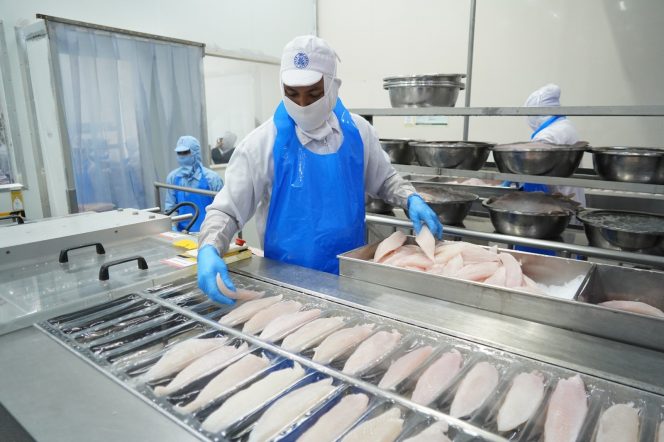 
 KKP Catat Kinerja Positif, Produksi Perikanan Capai 26,25 Juta Ton
