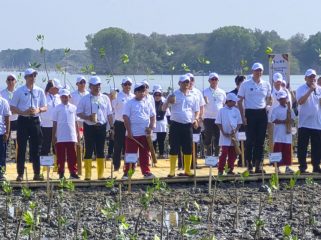Penanaman Mangrove di Demak