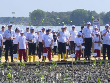 Penanaman Mangrove di Demak