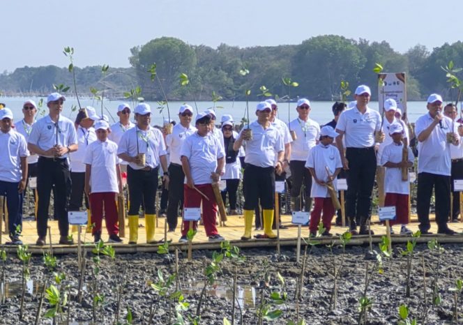
 Penanaman Mangrove di Demak